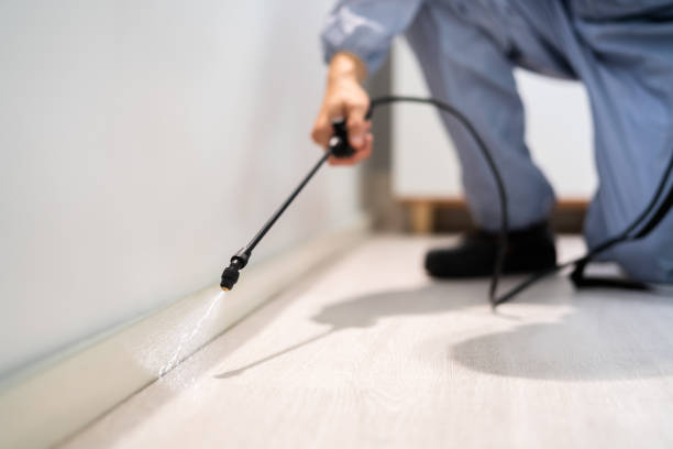 Rodent Entry Point Assessment in Gypsum