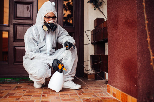 Attic and Crawl Space Rodent Treatment in Gypsum